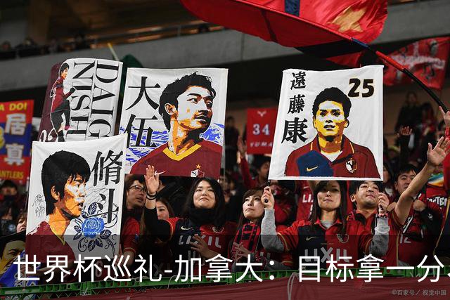 世界杯巡礼-加拿大：目标拿一分、赢一场，晋级32强