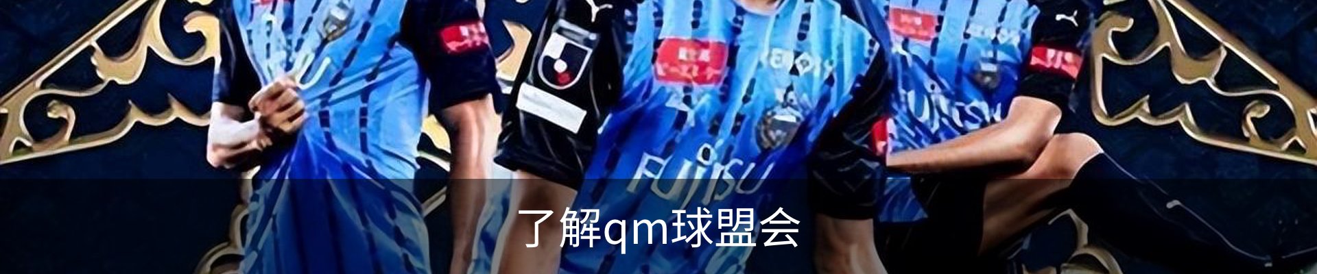 了解qm球盟会